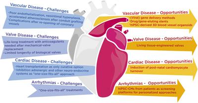 Grand challenges in molecular cardiology